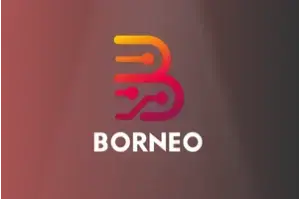 Borneo Schematic - 1 Year 2 User Activation