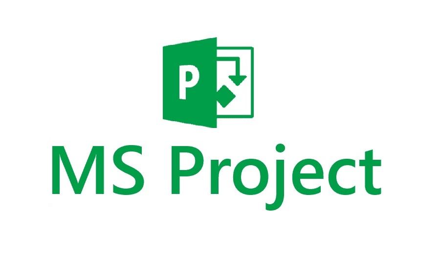 Project 2019 Pro (BIND)